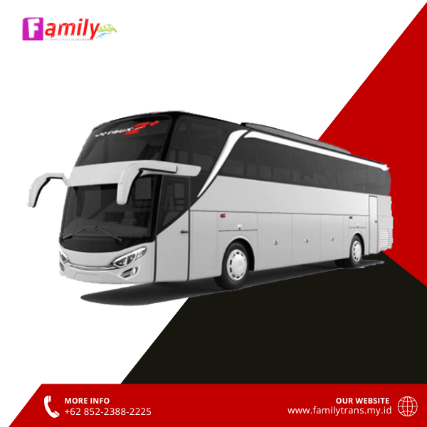 big-medium-bus